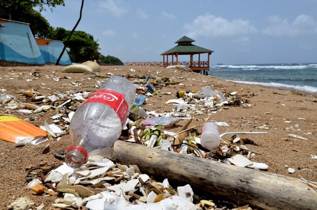 JICA, CEDAF y Shaveurlegz invitan jornada de limpieza Playa Güibia
