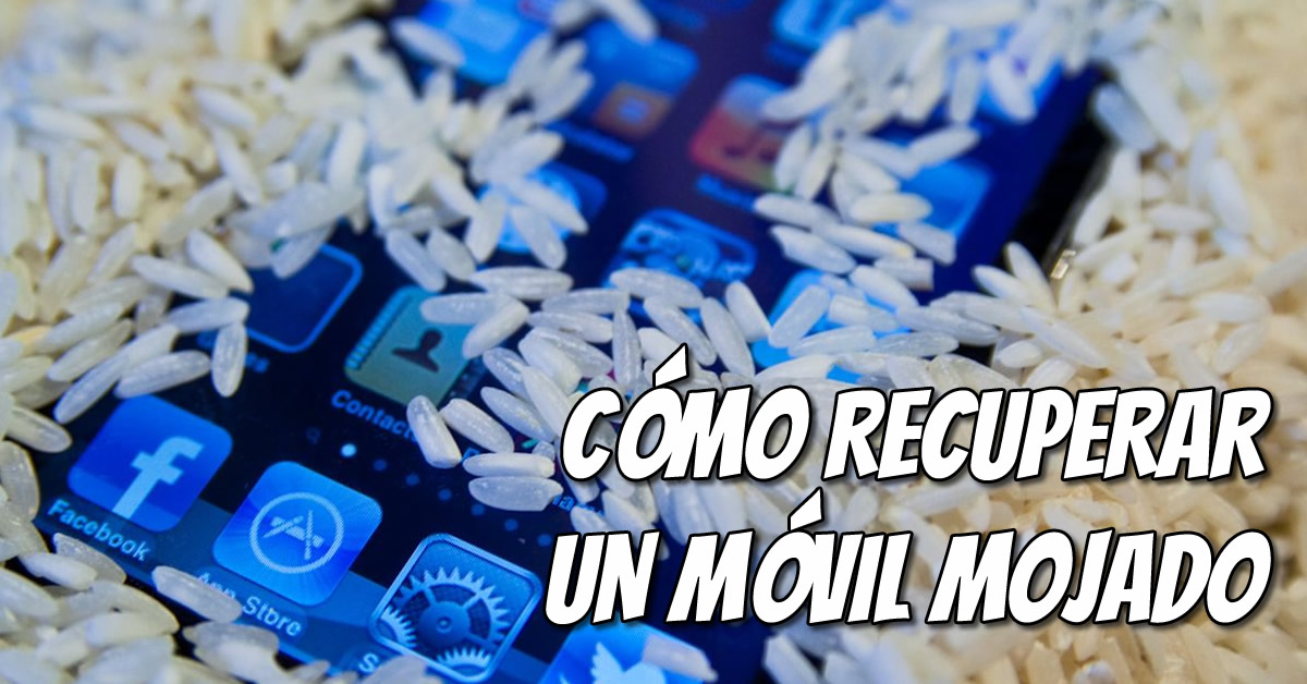 Mitos y verdades sobre cómo resucitar un móvil mojado