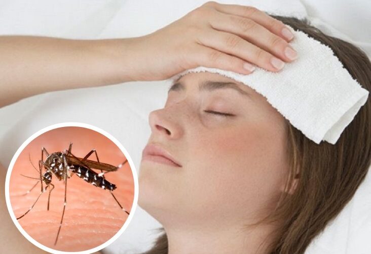 Síntomas del Dengue, Chikunguña y Zika en RD 2026: Cómo Diferenciarlos y Cuándo Ir al Médico